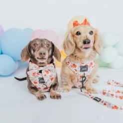 Dog Sailor Bow - P.S. I Woof You -Furfinity Cheap Shop 01.02 Valentine sFeed 7 84c8fdca 1e55 4d41 a751 0fa133badcdb