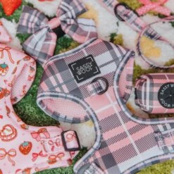 Dog Four Piece Bundle - Pawberry -Furfinity Cheap Shop 01.03.25 Valentine sDay 14 0152af82 35e8 4ef2 b6be 37ac9e093562