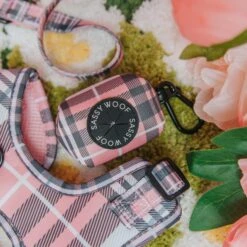 Dog Three Piece Bundle - Pawberry -Furfinity Cheap Shop 01.03.25 Valentine sDay 5