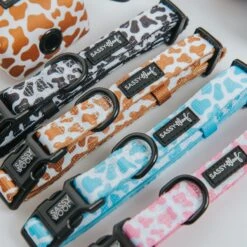 Dog Three Piece Bundle - Chocolate Milk -Furfinity Cheap Shop 01.22.25 MilkCollection 10