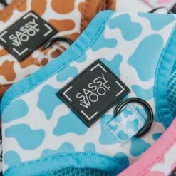 Dog Two Piece Bundle - Blueberry Milk -Furfinity Cheap Shop 01.22.25 MilkCollection 17