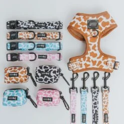 Dog Four Piece Bundle - Chocolate Milk -Furfinity Cheap Shop 01.22.25 MilkCollection 25 45fecf3f 4902 46c7 925b adc8277b61d6