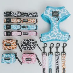 Dog Four Piece Bundle - Blueberry Milk -Furfinity Cheap Shop 01.22.25 MilkCollection 26 6cb584f6 b9c9 48eb 99cc ab5873318d2d