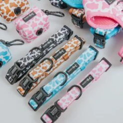 Dog Collar - Chocolate Milk -Furfinity Cheap Shop 01.22.25 MilkCollection 3 cf2fde01 58fd 49b0 9c21 cb75a9f85f5b