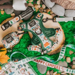 Dog Two Piece Bundle - Peanuts™ Beagle Scouts -Furfinity Cheap Shop 03.19 BeagleScoutFeedPost 12