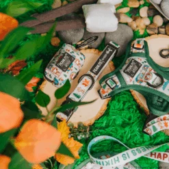 Dog Three Piece Bundle - Peanuts™ Beagle Scouts -Furfinity Cheap Shop 03.19 BeagleScoutFeedPost 2