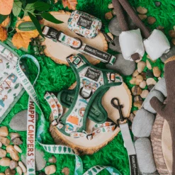 Dog Four Piece Bundle - Peanuts™ Beagle Scouts 29 Dog Four Piece Bundle - Peanuts™ Beagle Scouts -Furfinity Cheap Shop 03.19 BeagleScoutFeedPost 8