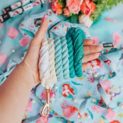 Dog Rope Leash - Disney's Ariel -Furfinity Cheap Shop 07.22 24 LittleMermaidFeedPost 16