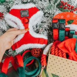 Dog Two Piece Bundle - Naughty -Furfinity Cheap Shop 10.28 FeedPost Velvet 4 5f003072 7328 4351 864a 5f6533348545