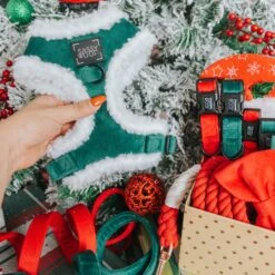 Dog Two Piece Bundle - Nice -Furfinity Cheap Shop 10.28 FeedPost Velvet 5 dcdab743 48f0 4fb4 adf4 590d870f2bc1