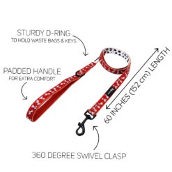 Dog Three Piece Bundle - Disney's 101 Dalmatians -Furfinity Cheap Shop 101 DALMATIONS OFFICIAL LEASH GUIDE eaa2d167 627d 4c63 ba36 800fec24a8f4