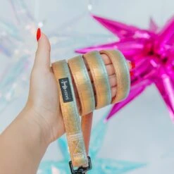 Dog Leash - The Night Life 17 Dog Leash - The Night Life -Furfinity Cheap Shop 12.17 24NightLife 3 5f98e0ad 53b5 4e2a a625 e43c3f7001c8