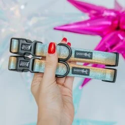 Dog Collar - The Night Life -Furfinity Cheap Shop 12.17 24NightLife 4