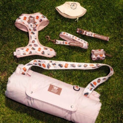 Dog Leash - Weens Club -Furfinity Cheap Shop 20250505 TheWeensSassyWoof LFDC 2927 e944498b a7ea 4121 9412 7c94dc0ece0d