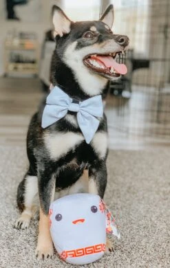 Dog Sailor Bow - 50 Shades Of Sass -Furfinity Cheap Shop 50 shades of sass bowtie