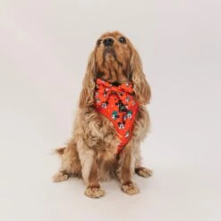 Dog Sailor Bow - Disney Holiday Collection -Furfinity Cheap Shop 7F0A5314 cba60fed b257 4727 ad39 e379e32fee08