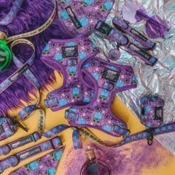 Dog Four Piece Bundle - Mojo Jojo™ -Furfinity Cheap Shop 9.11 PURPLE PPG GIVEAWAY