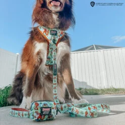 Dog Waste Bag Holder - Scooby-Doo™ -Furfinity Cheap Shop ADVENTUROUS ACE AND ARYA 3 92dd72db 8de4 47d5 8047 e341e6bf1c63