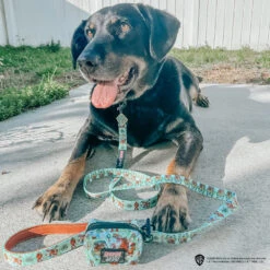 Dog Waste Bag Holder - Scooby-Doo™ -Furfinity Cheap Shop ADVENTUROUS ACE AND ARYA 5 606669f3 dc6e 4801 81b2 f01423e467cb