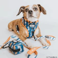 Dog Waste Bag Holder - STAR WARS™ Ahsoka -Furfinity Cheap Shop AHSOKA SizeSmall 1 cafe729d e08a 42c8 9308 f9029b45d7c1