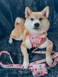 Dog Waste Bag Holder - STAR WARS™ Princess Leia -Furfinity Cheap Shop AKIKOSHIBA21 3 3284679a b7a6 45b2 a173 b8890b42b16a