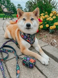 Dog Waste Bag Holder - Neon Frights -Furfinity Cheap Shop AKIKOSHIBA21 3 674d9696 9655 4c7d 907b 07164eabffc2