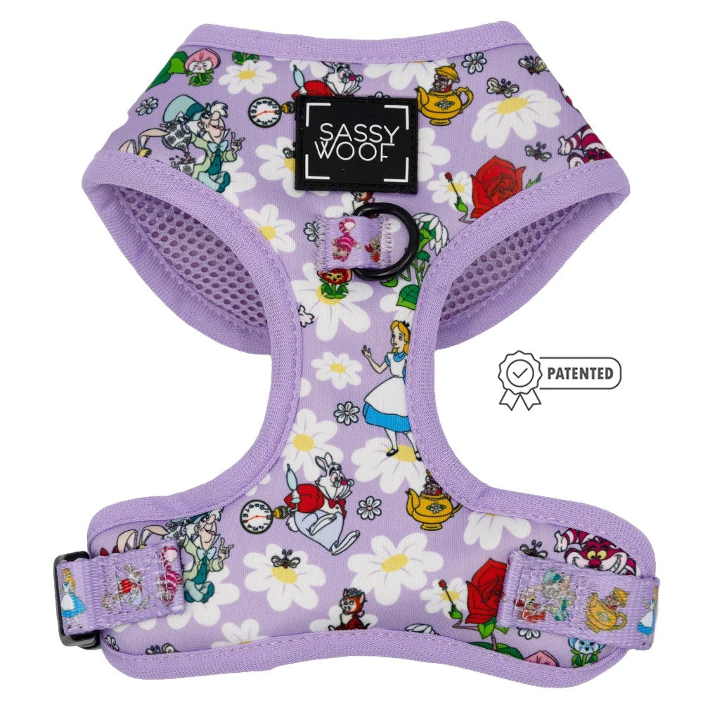 Dog Four Piece Bundle - Alice In Wonderland (Purple) 4 Dog Four Piece Bundle - Alice In Wonderland (Purple) - Image 2