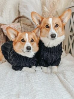 Dog Cable Knit Sweater - Black -Furfinity Cheap Shop AMB23CKS CAPTAINANDTONY 1