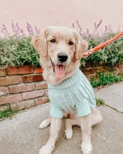 Dog Cable Knit Sweater - Mint 22 Dog Cable Knit Sweater - Mint -Furfinity Cheap Shop AMB23CKS OURGOLDENGIRLPENNY 2