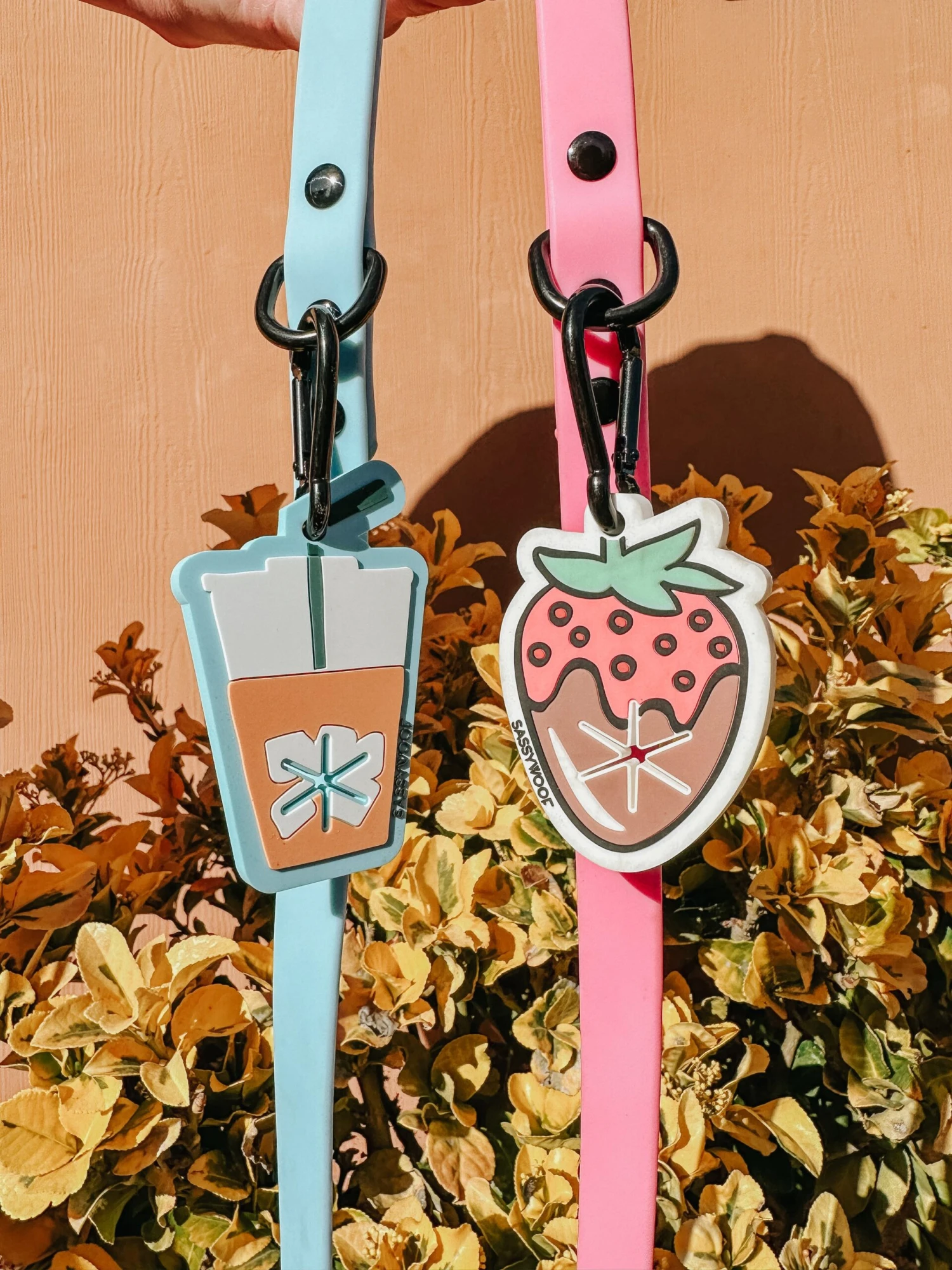 Potty Pal - Chocolate Strawberry 14 Potty Pal - Chocolate Strawberry - Image 12