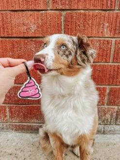 Potty Pal - Oopsie Poopsie -Furfinity Cheap Shop AMB23PP NALA.THEWIGGLIE.AUSS 3