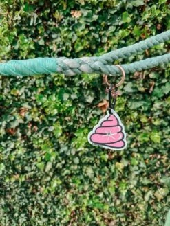 Potty Pal - Oopsie Poopsie -Furfinity Cheap Shop AMB23PP OURGOLDENGIRLPENNY 3