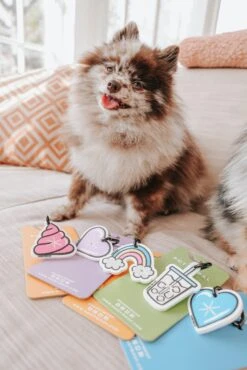 Potty Pal - Oopsie Poopsie -Furfinity Cheap Shop AMB23PP PRINCESSBOOP 2