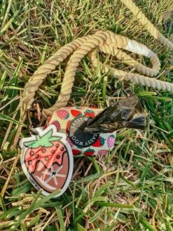 Potty Pal - Chocolate Strawberry 25 Potty Pal - Chocolate Strawberry -Furfinity Cheap Shop AMB23PP SKY THEPOMS 2