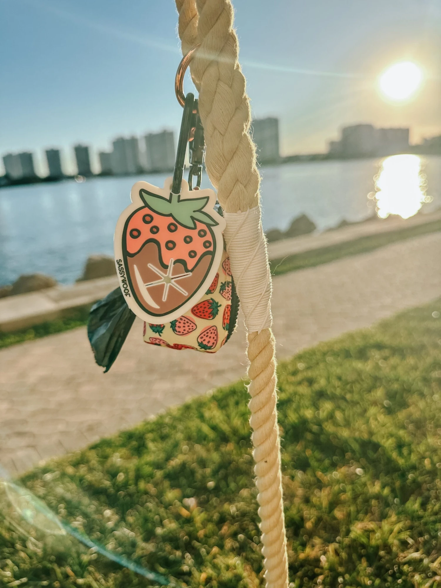 Potty Pal - Chocolate Strawberry 13 Potty Pal - Chocolate Strawberry - Image 11