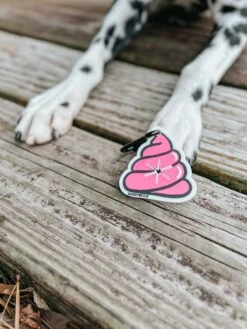 Potty Pal - Oopsie Poopsie -Furfinity Cheap Shop AMB23PP THE.HERO .DOGS 01