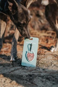 Potty Pal - Chocolate Strawberry 36 Potty Pal - Chocolate Strawberry -Furfinity Cheap Shop AMB23PP THE.HERO .DOGS 10