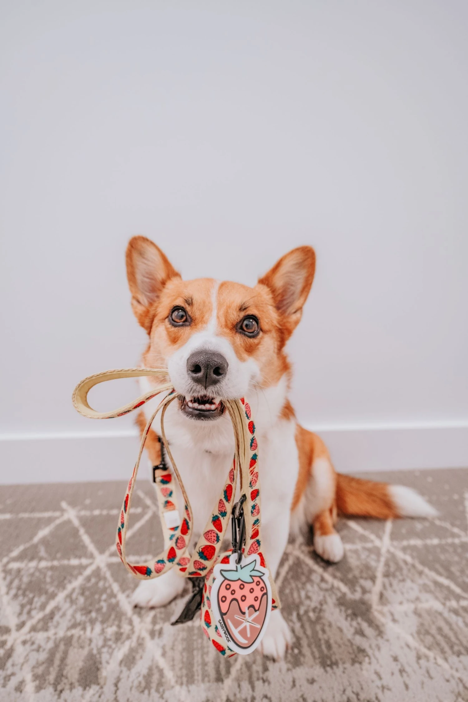 Potty Pal - Chocolate Strawberry 20 Potty Pal - Chocolate Strawberry - Image 18