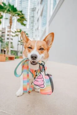 Potty Pal - Oopsie Poopsie -Furfinity Cheap Shop AMB23PP THECORGITATO 04V2