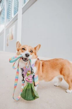 Potty Pal - Oopsie Poopsie -Furfinity Cheap Shop AMB23PP THECORGITATO 05V2