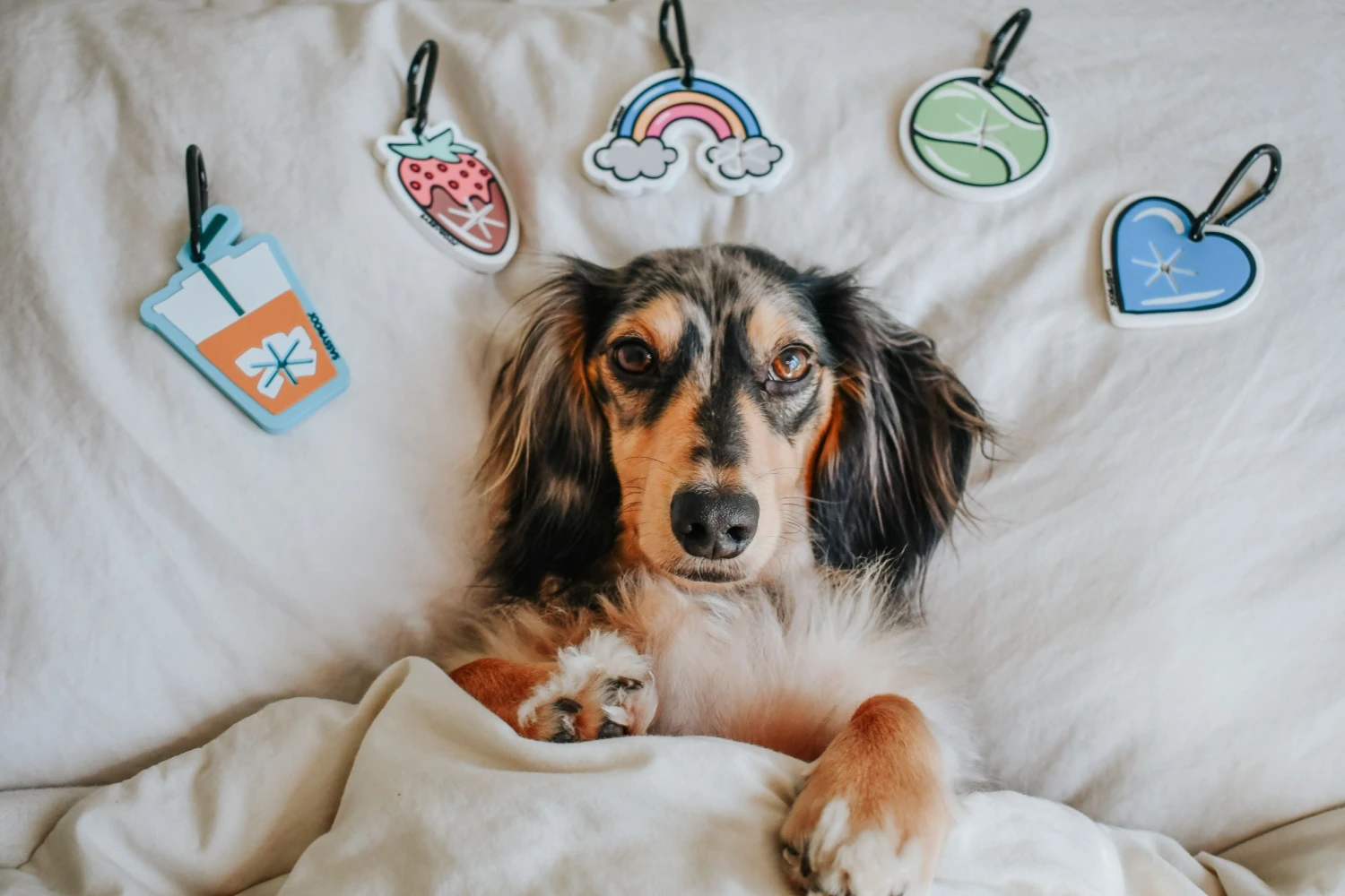 Potty Pal - Chocolate Strawberry 16 Potty Pal - Chocolate Strawberry - Image 14