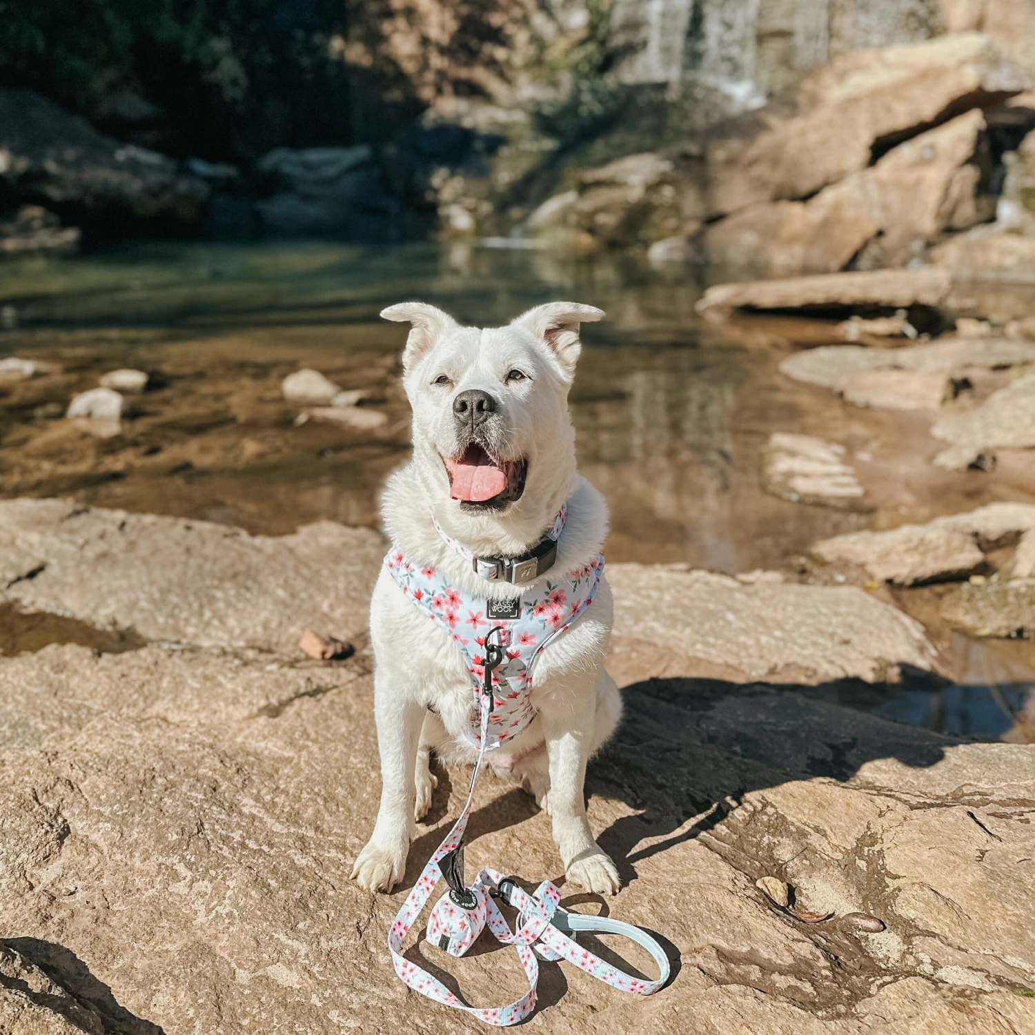 Dog Waste Bag Holder - Sakura 10 Dog Waste Bag Holder - Sakura - Image 8