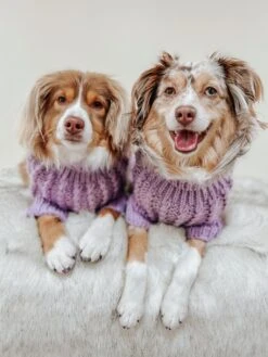 Dog Cable Knit Sweater - Lavender -Furfinity Cheap Shop AMB23 AUSSIES.LILA .EVIE 4