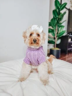 Dog Cable Knit Sweater - Lavender -Furfinity Cheap Shop AMB23 AUTUMN THEGOLDIE