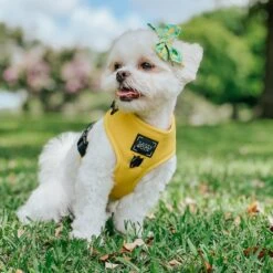 Dog Adjustable Harness - Neon Yellow -Furfinity Cheap Shop AMB23 DECLAN THE ONE EYED TRIPAWD 1
