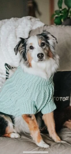 Dog Cable Knit Sweater - Mint 27 Dog Cable Knit Sweater - Mint -Furfinity Cheap Shop AMB23 EUREKAPAWS 1