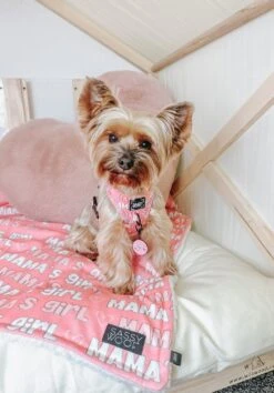 Dog Collar Tag - Mama's Girl -Furfinity Cheap Shop AMB23 MAMA EEVEE.THE .YORKIE 7 260f35e7 00aa 4970 8ce6 d4db3c47b231