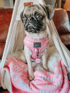 Dog Collar Tag - Mama's Girl -Furfinity Cheap Shop AMB23 MAMA PUGCALLEDTACO 08