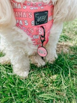 Dog Collar Tag - Mama's Girl -Furfinity Cheap Shop AMB23 MAMA SCOUT.AND .SAYLOR 5