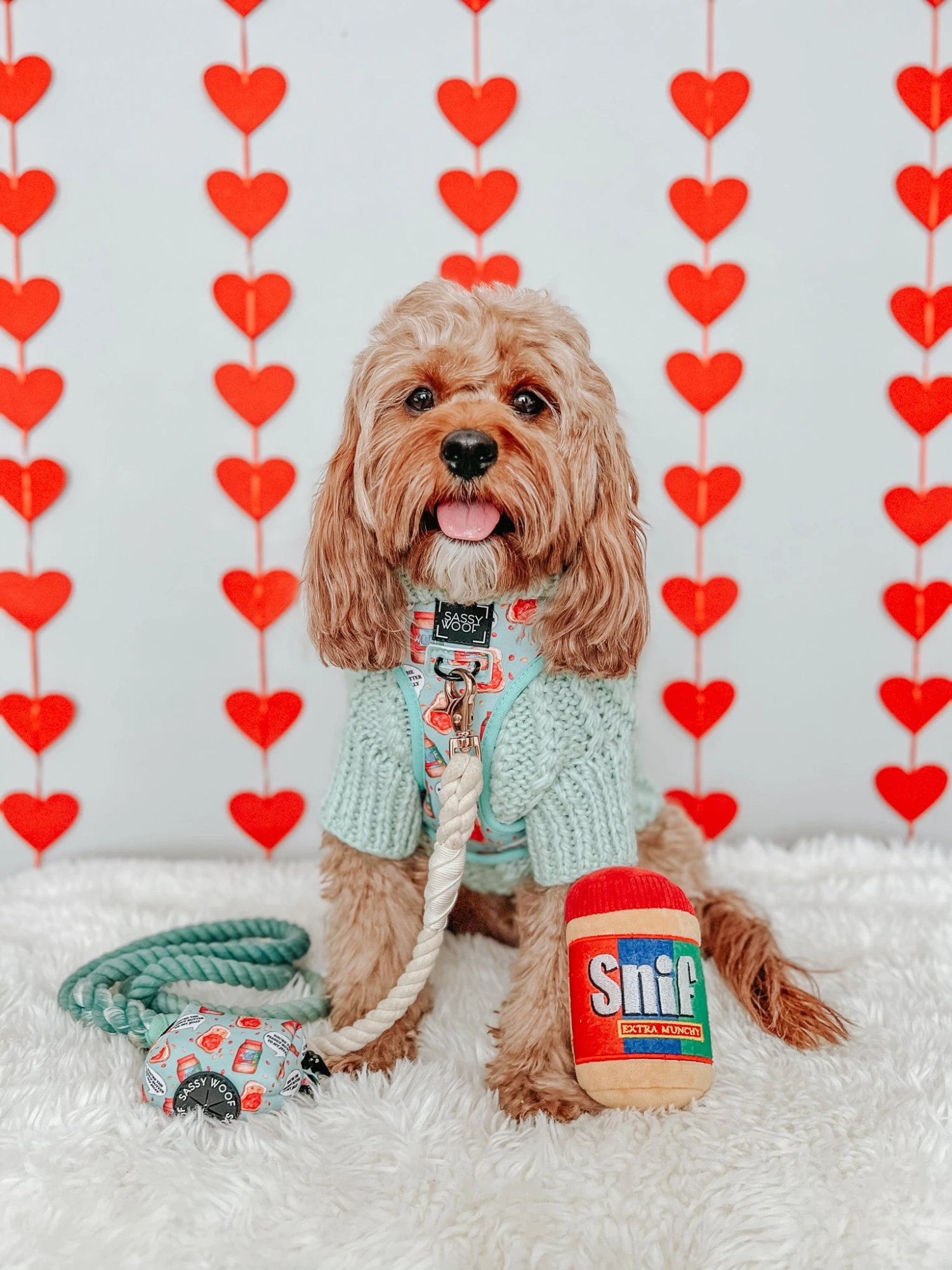 Dog Cable Knit Sweater - Mint 6 Dog Cable Knit Sweater - Mint - Image 4